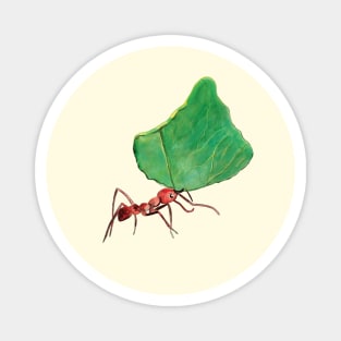 Ant carrying big leaf Magnet